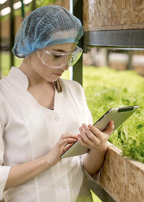 Técnica del equipo de AR Consultora Py realizando control de calidad en un cultivo